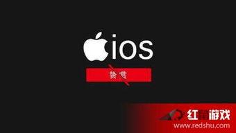 娱乐明星八卦公众号