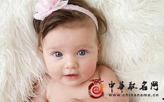 今年小孩网红小名,揭秘今年网红小名的魅力与影响力