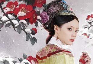 甄嬛手图片,揭秘后宫权谋与情感纠葛